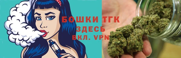 apvp Горняк