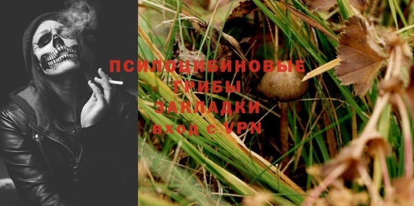 apvp Горняк