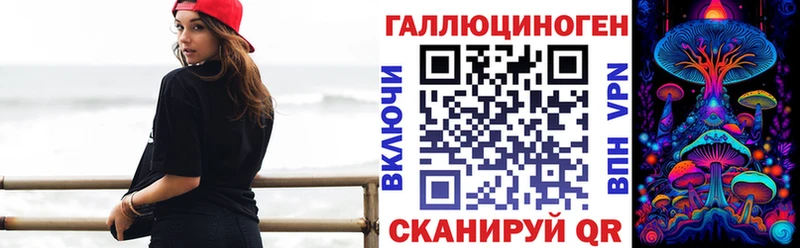 дарнет шоп  Железногорск  Галлюциногенные грибы GOLDEN TEACHER 